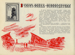 image41