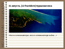Страница 33