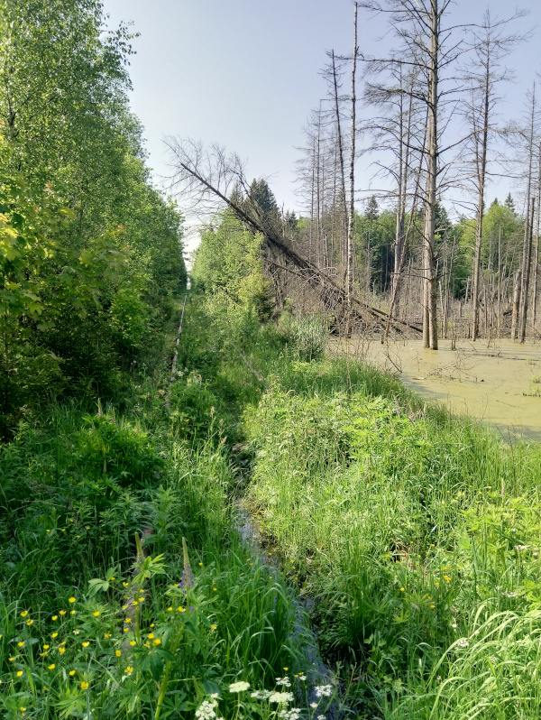 Etude_095227.jpg