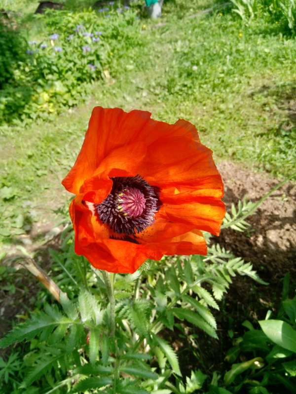 Etude_20200616_092210.jpg