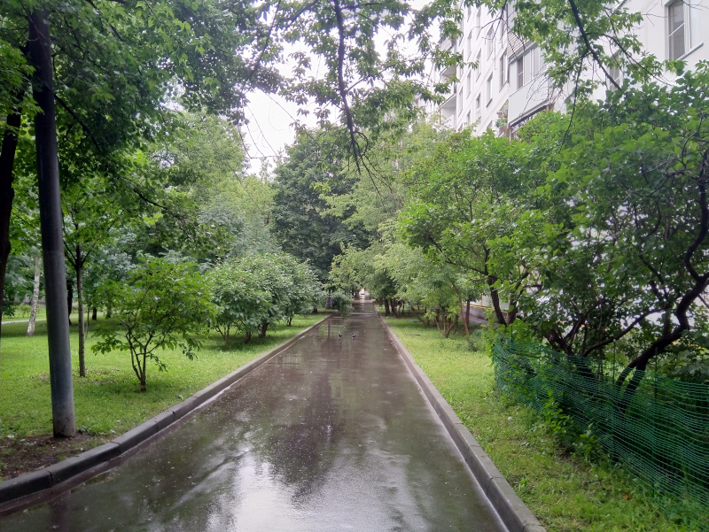 Etude_20200715_170046.jpg